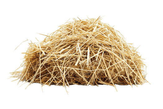 AI generated Pile of Dry Straw png