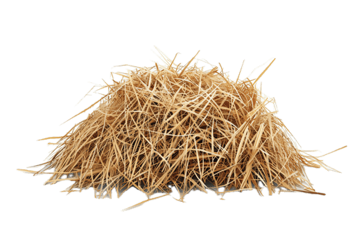 AI generated Pile of Dry Straw png