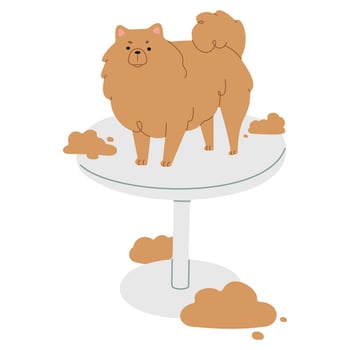 Pet Grooming 2 cute, vector illustration.