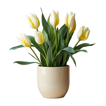 AI generated Tulip Flowers in White Pot Isolated on Transparent Background. Generative Ai png