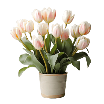 AI generated Tulip Flowers in White Pot Isolated on Transparent Background. Generative Ai png