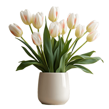 AI generated Tulip Flowers in White Pot Isolated on Transparent Background. Generative Ai png