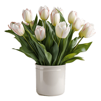 AI generated Tulip Flowers in White Pot Isolated on Transparent Background. Generative Ai png