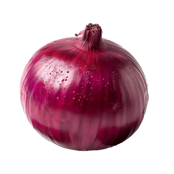 AI generated Red onion PNG. Onion slices isolated. Red onion top view PNG. Onion vegetable flat lay PNG. Organic vegetable png