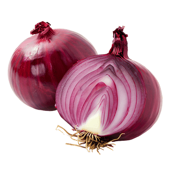 AI generated Red onion PNG. Onion slices isolated. Red onion top view PNG. Onion vegetable flat lay PNG. Organic vegetable png