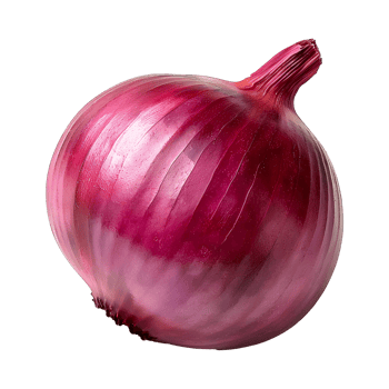 AI generated Red onion PNG. Onion slices isolated. Red onion top view PNG. Onion vegetable flat lay PNG. Organic vegetable png