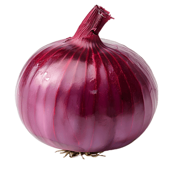 AI generated Red onion PNG. Onion slices isolated. Red onion top view PNG. Onion vegetable flat lay PNG. Organic vegetable png