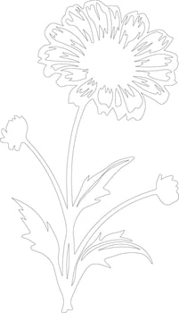 AI generated calendula  outline silhouette vector