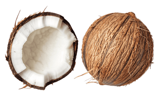 AI generated Cracked Open Coconut with Visible Flesh png