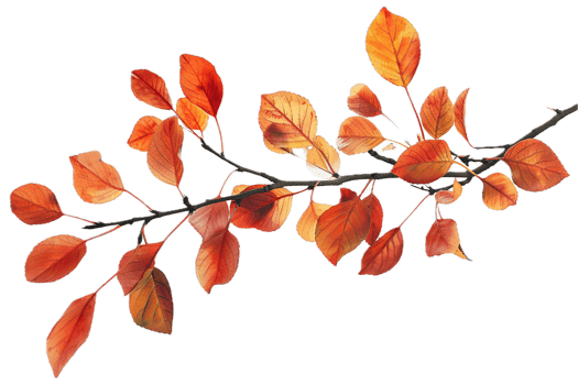 AI generated Autumn Leaves on Branch png
