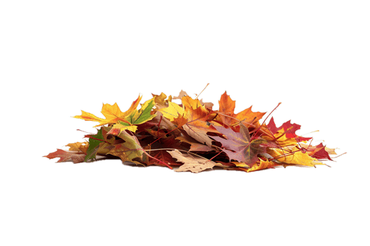 AI generated Autumn Maple Leaves Pile png