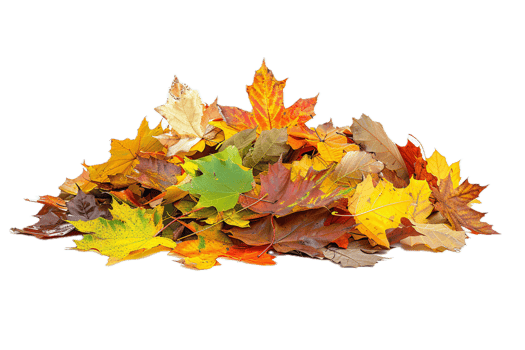 AI generated Autumn Maple Leaves Pile png