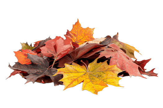 AI generated Autumn Maple Leaves Pile png