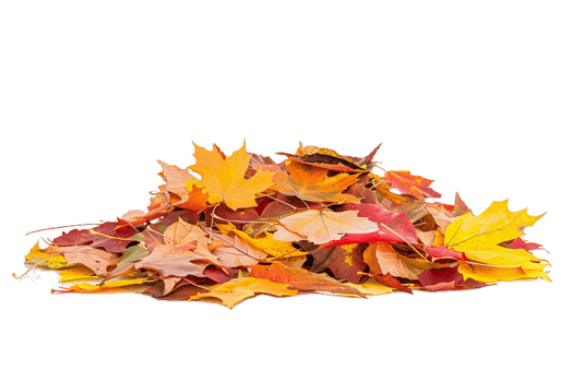 AI generated Autumn Maple Leaves Pile png