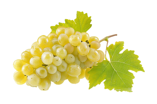 AI generated Fresh Green Grapes Bunch with Leaf png