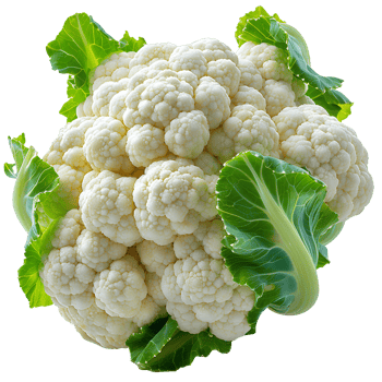 AI generated Cauliflower PNG. Cauliflower vegetable isolated. Organic vegetable cauliflower PNG. Cauliflower leaves. Green leafy vegetable PNG