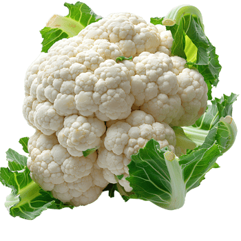 AI generated Cauliflower PNG. Cauliflower vegetable isolated. Organic vegetable cauliflower PNG. Cauliflower leaves. Green leafy vegetable PNG