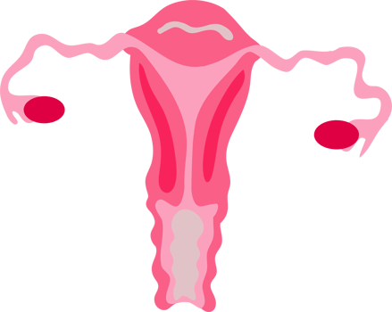 menstual periods element png