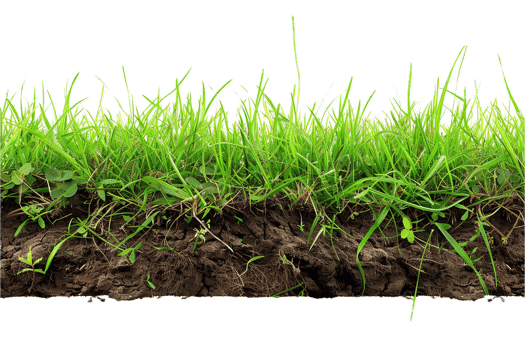 AI generated Grass Cross Section with Soil png
