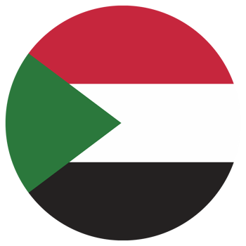 palestine national flag png