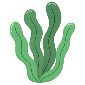 Under the sea seaweed png