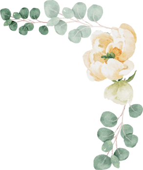 watercolor white peony and rose foliage flower garland bouquet wreath frame png