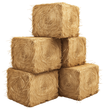 AI generated Bales bundle isolated on transparent background png