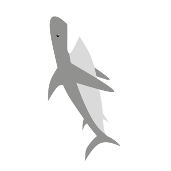 sharks that have a gray color png