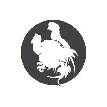 Silhouettes of fighting cocks. Vector illustration isolated on white background