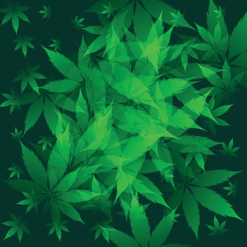 green marijuana leaf vector vector marijuana leaf background image marijuana leaf illustration