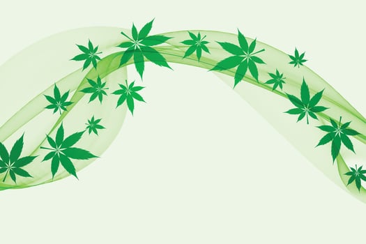 green marijuana leaf vector vector marijuana leaf background image marijuana leaf illustration