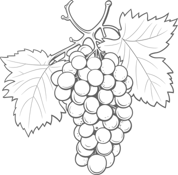 AI generated Grapes clipart design illustration png