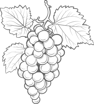 AI generated Grapes clipart design illustration png