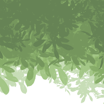 leaves blowing in the wind, Leafs, L leaves falling. png