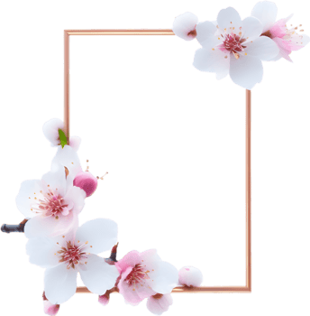 AI generated Watercolor painting of Cherry blossom Floral frame. png