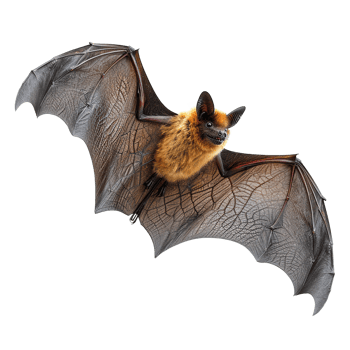 AI generated Flying bat isolated on transparent background png