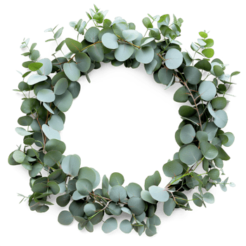 AI generated Circle frame by eucalyptus green leaves, Christmas wreath frame adorned with leaf, AI generated, PNG transparent with shadow