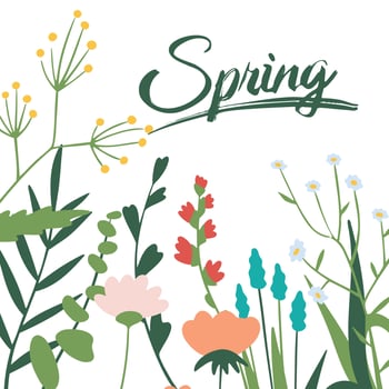 floral greeting card. Vintage retro background with wildflowers. Summer theme background vector