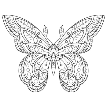 So cute butterfly hand drawn for adult coloring book vector