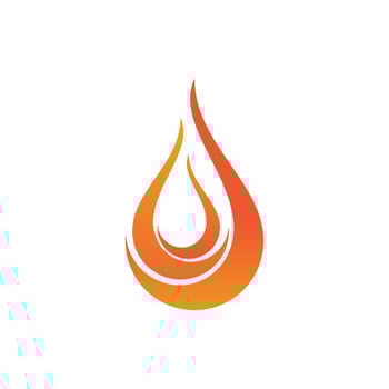 Fire flame logo vector
