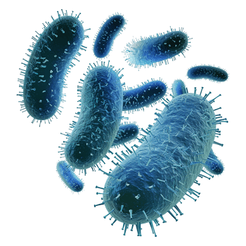 AI generated Bacteria isolated on transparent background png