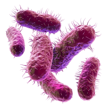 AI generated Bacteria isolated on transparent background png