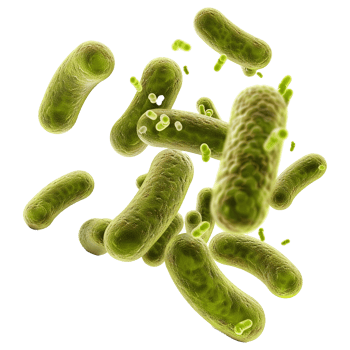 AI generated Bacteria isolated on transparent background png