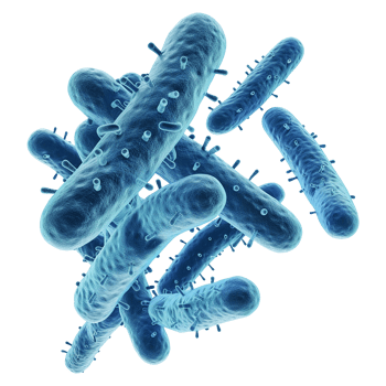 AI generated Bacteria isolated on transparent background png