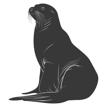 AI generated Silhouette Sea Lion Animal black color only full body png