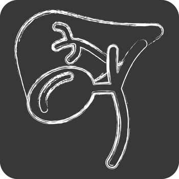 Icon Gallbladder. related to Human Organ symbol. chalk Style. simple design editable. simple illustration vector