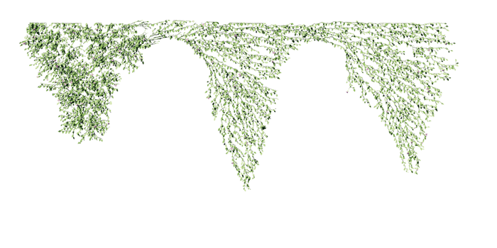 beautiful ivy green and flower png
