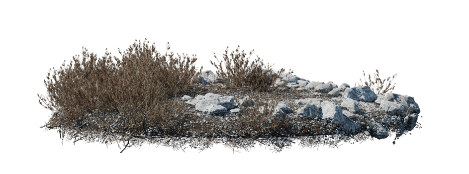 Round surface patch covered with flowers, green or dry grass isolated on white background. Realistic natural element for design. Bright 3d illustration. png