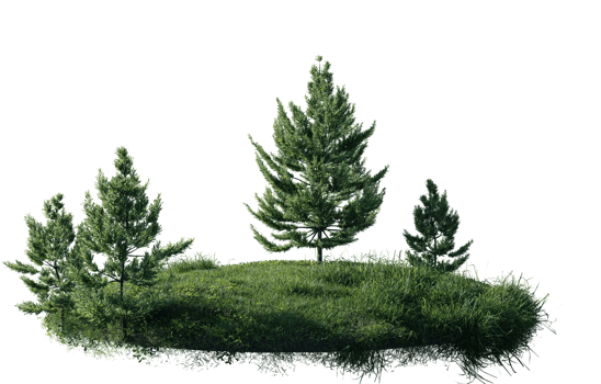 Round surface of Small Pine forest patch covered with flowers, green or dry grass isolated on transparent background. Realistic natural element for design. Bright 3d png