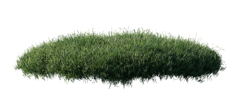 Round surface patch covered with flowers, green or dry grass isolated on white background. Realistic natural element for design. Bright 3d illustration. png